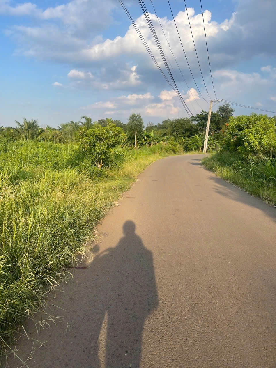 Đất thổ cư mặt tiền đường nhựa Sông Trầu, Trảng Bom, 115m² giá 1,1 tỷ - Đầu tư sinh lời ngay!