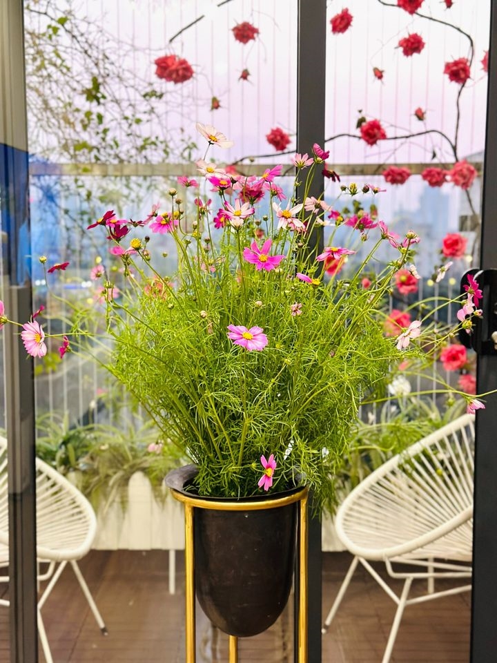 Căn hộ Imperia Garden 66m² giá 8.1 tỷ - Ban công Đông Nam siêu mát!