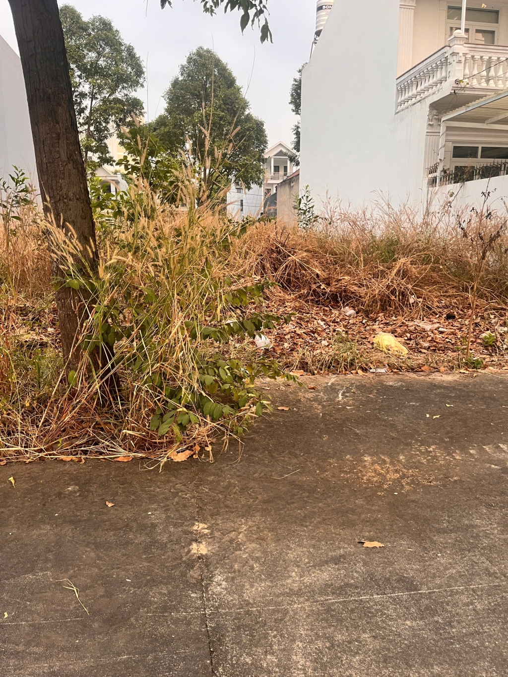 Đất nền Dĩ An 300m² giá 920 triệu - Vị trí đẹp, phong thủy tốt!