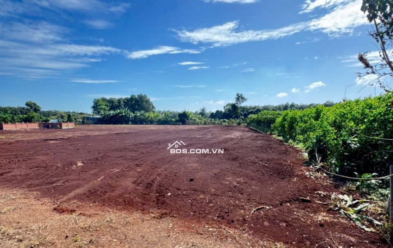 Lô đất Long Phước Bà Rịa - Vũng Tàu 898m² giá 2.65 tỷ - Đầu tư sinh lời tốt!