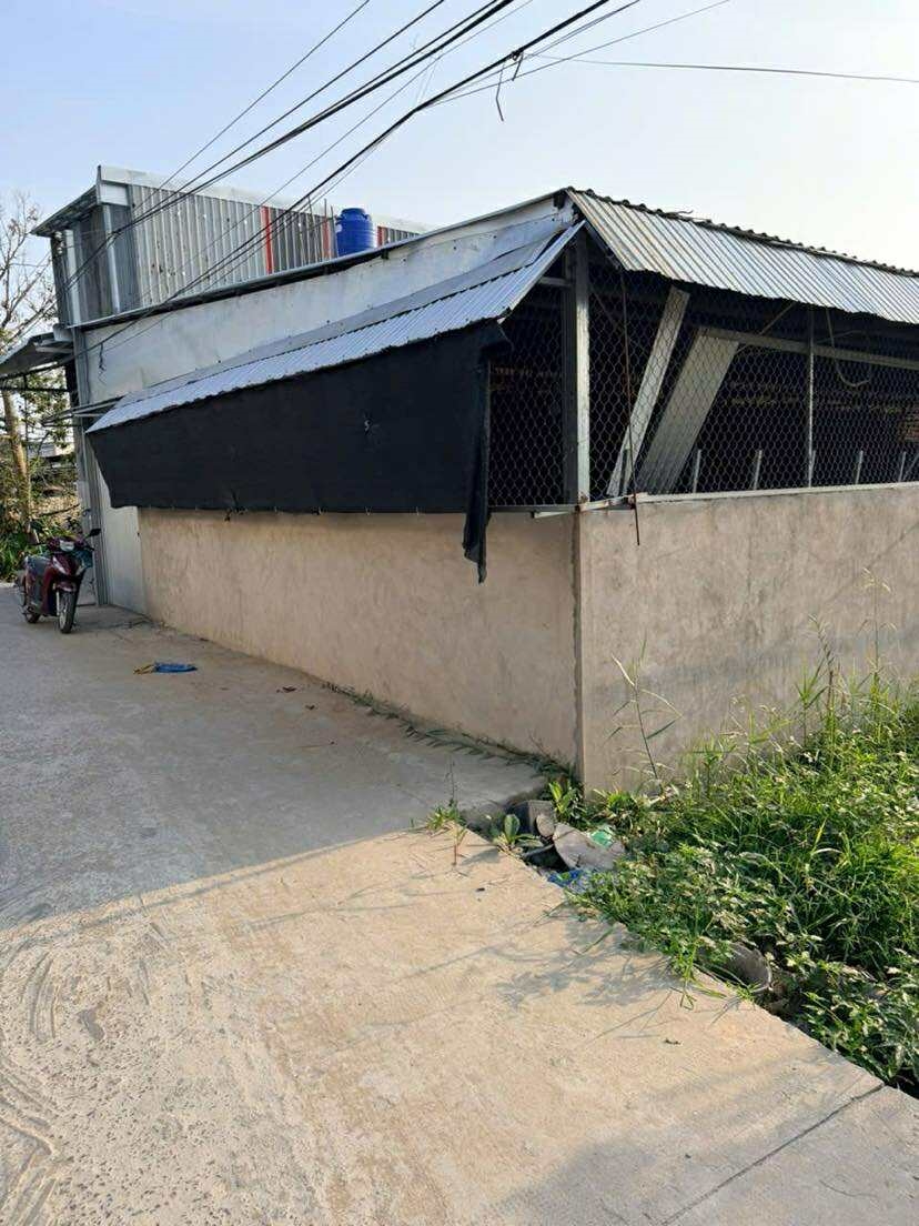 Cho thuê kho 300m² đường Huỳnh Thị Nở, Cần Thơ - Giá chỉ 5 triệu/tháng!