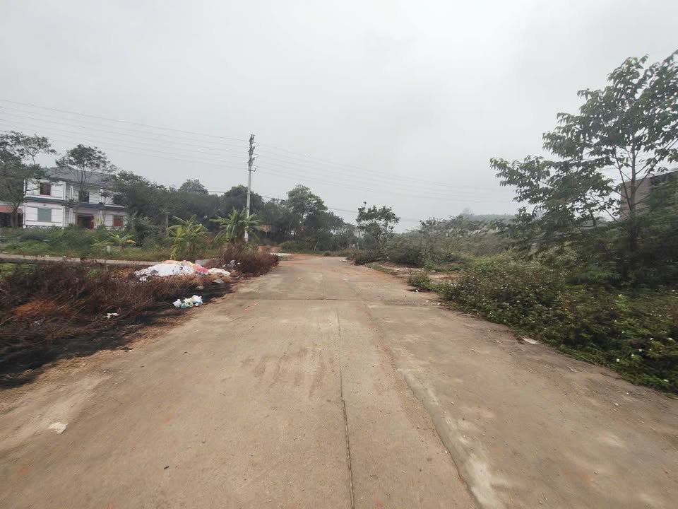 Đất phân lô tại Khu DV Đồng Dương, Tam Đảo 100m² giá chỉ 15xx triệu - Hướng Đông hút tài lộc!