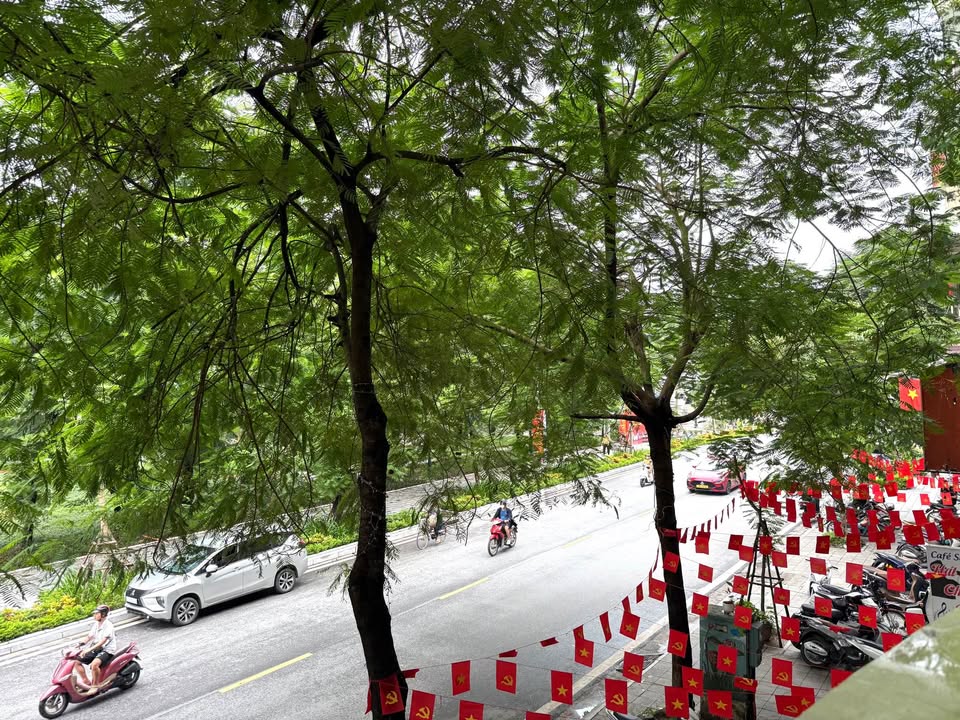 Nhà Mặt Phố Cửa Đông, Hoàn Kiếm 50m² Giá 40 tỷ - Kinh Doanh Sầm Uất!