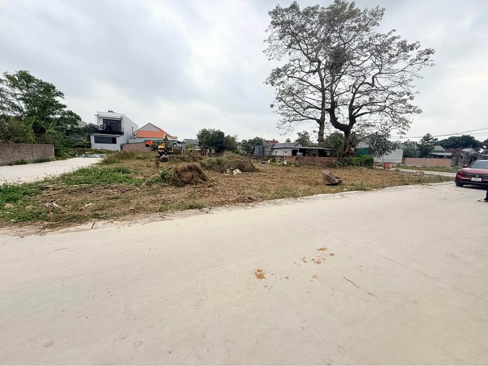 Đất nền Hồng Kỳ Ninh Dương 100m² giá 1 tỷ - Đầu tư sinh lời tốt!