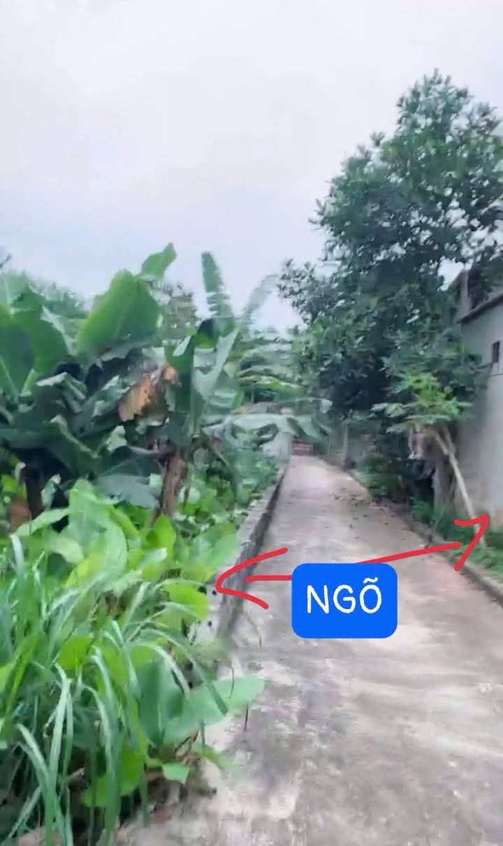 Đất nền Xã Đại Xuyên 116m² giá 3 tỷ - Góc đẹp, thuận tiện kinh doanh!