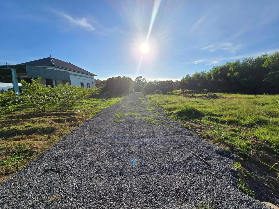 Đất nền thôn 10 Lý Trạch 126m² giá thỏa thuận - Cơ hội đầu tư hấp dẫn!