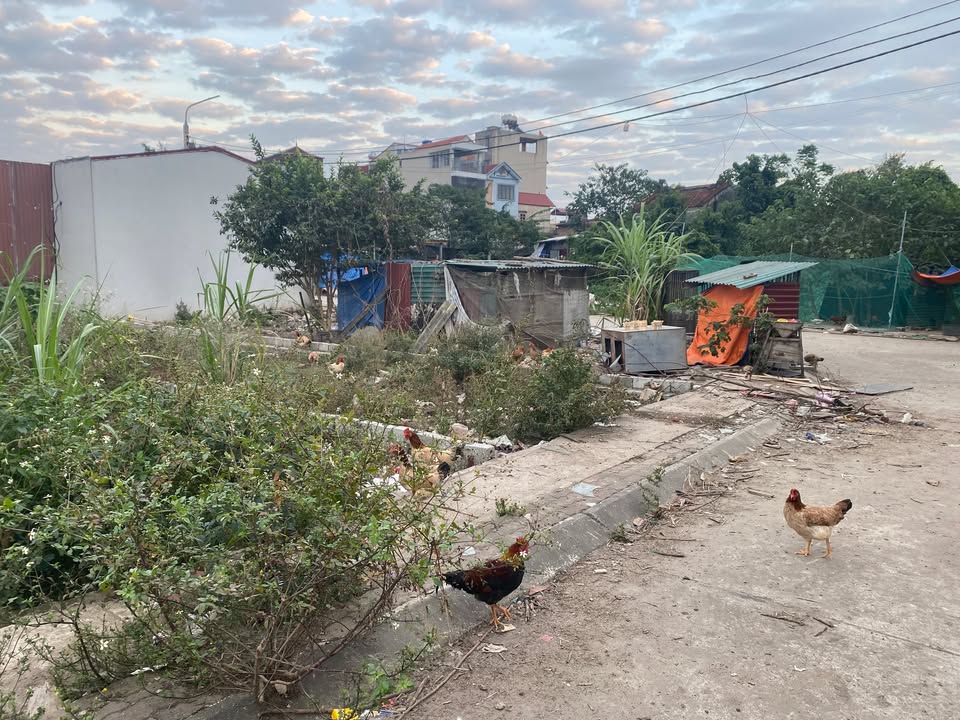 Đất nền phân lô Làng Mui, Thường Tín 80m² giá đầu tư - Ô tô tránh, gần chợ