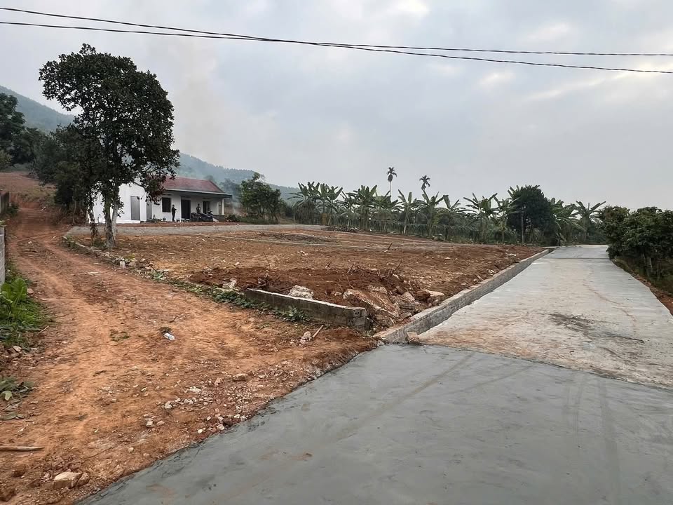 Siêu biệt thự Đồng Lạc, Yên Thế 800m² giá 600 tỷ - Sẵn sàng ở ngay!