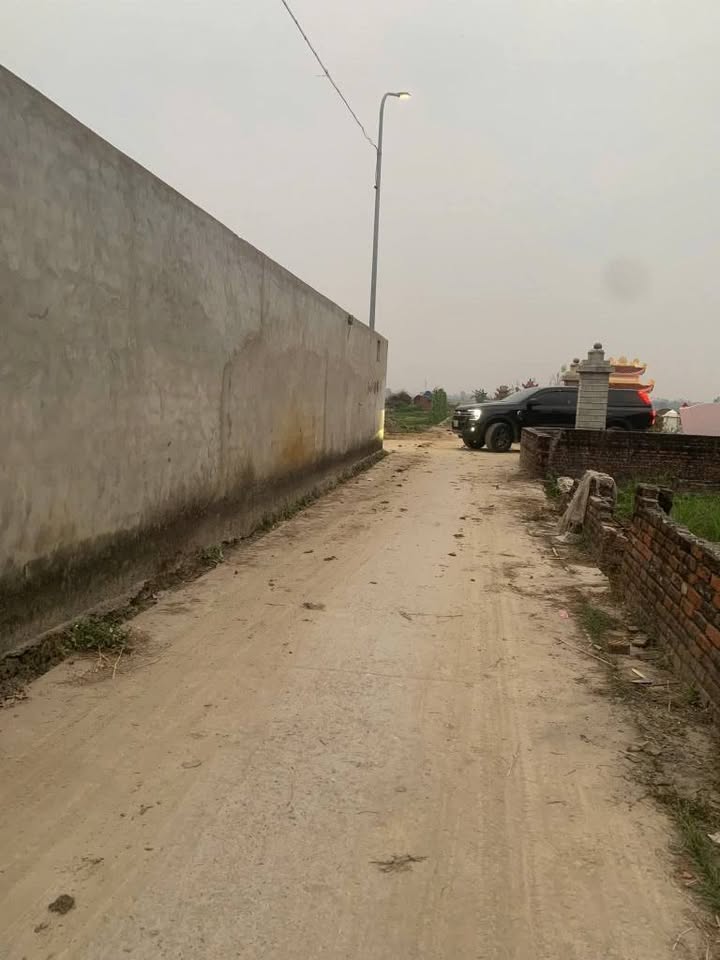 Đất nền TDP Tân Thịnh, Bồng Lai 71m² giá chỉ 990 triệu - Cơ hội đầu tư hấp dẫn!