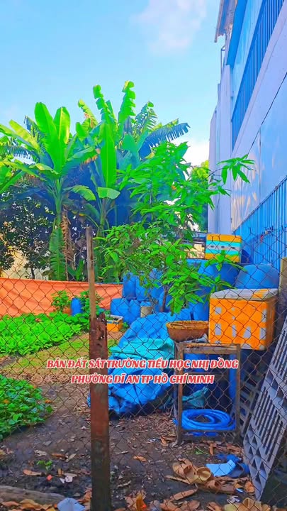 Đất nền Dĩ An 108m² giá 4.5 tỷ - Vị trí đắc địa, nhiều tiện ích!