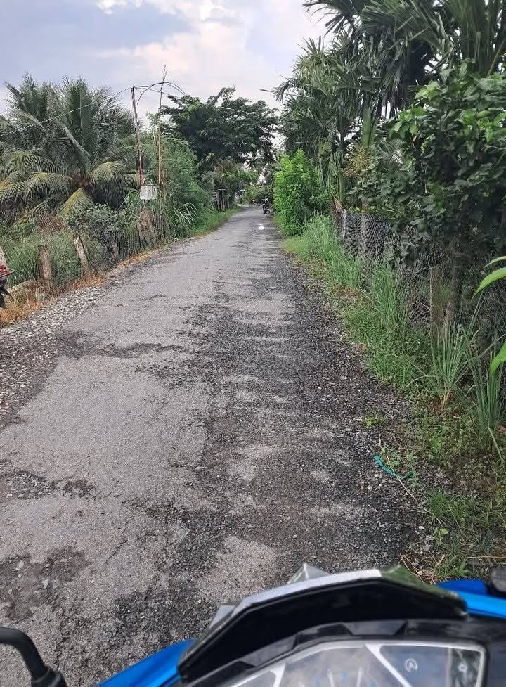 Đất nền ấp Thạnh Lợi, xã Bình Hàng Trung, 598m² giá 850 triệu - Cơ hội đầu tư vàng!