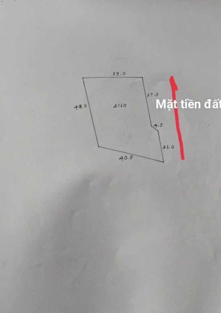 Đất thổ cư 2000m² tại xã Tiên Nha, huyện Lục Nam - Giá 1 tỷ, cơ hội đầu tư tuyệt vời!