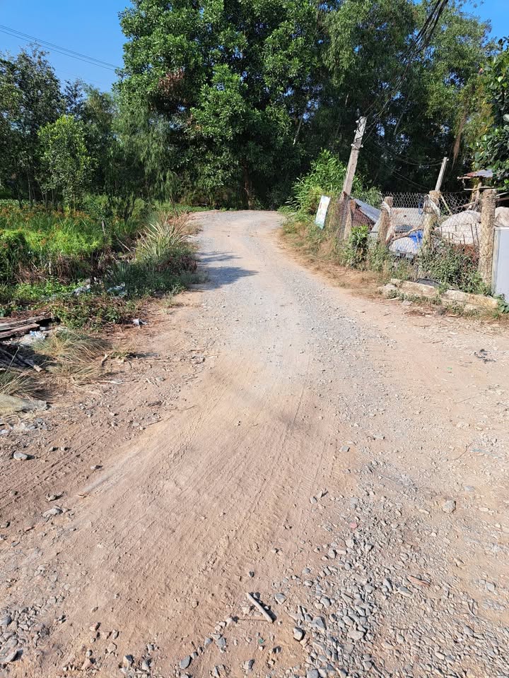 Đất vườn 1,5 công Thủy Đông, Thạnh Hóa 1445m² giá 480 triệu - Tiềm năng đầu tư lớn!