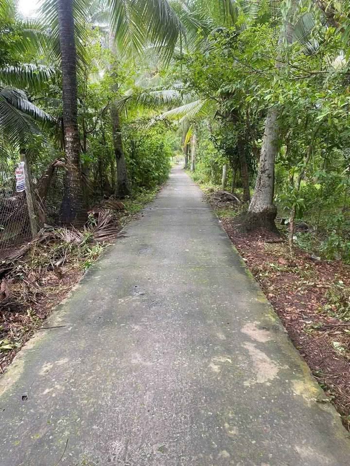 Nhà phố An Hòa, Huyện Châu Thành, 176m² giá 1.05 tỷ - Chính chủ cần bán gấp!