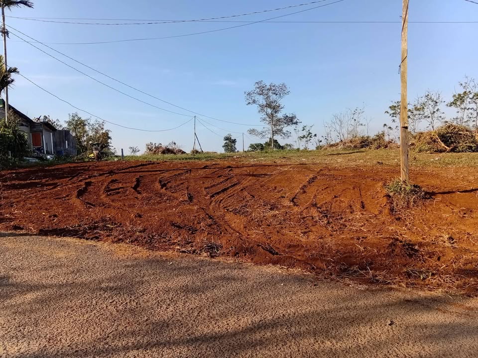 Đất nền xã Đắk Ha 2600m² giá chỉ 100 triệu/m² - Bán gấp cuối năm!