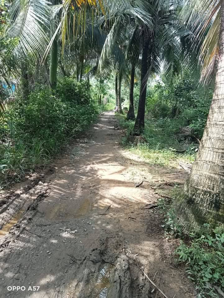 Đất nền 2 mặt tiền tại Định Trung, Bình Đại, Bến Tre diện tích 1480m² chỉ 35 triệu/m² - Đầu tư sinh lời ngay!