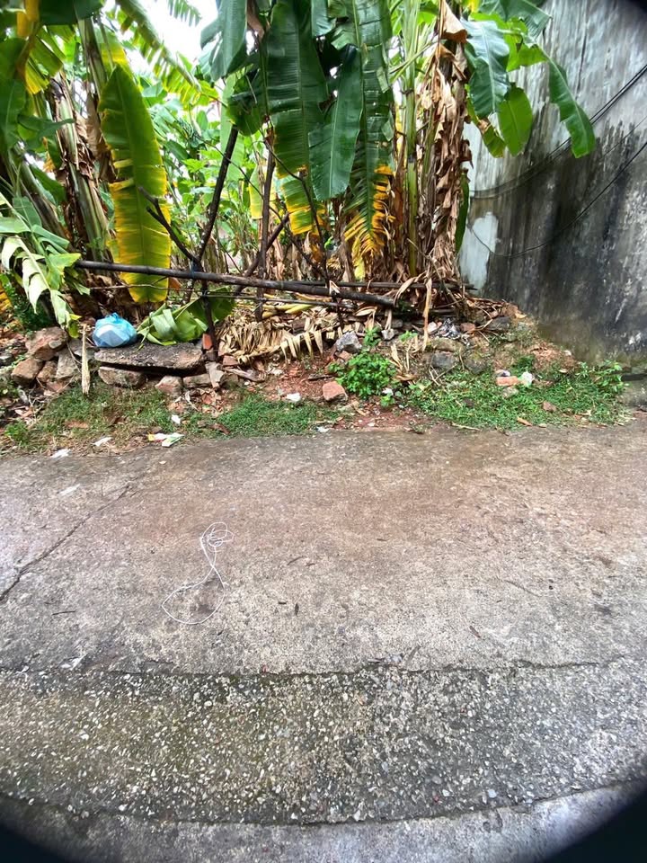 Đất thổ cư xã Xuân Hương 105m² giá 600 triệu - Cơ hội đầu tư lý tưởng!