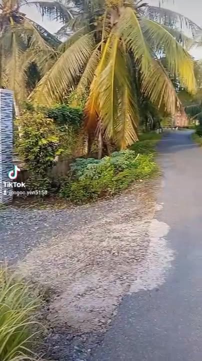 Nhà nguyên căn cho thuê tại ấp Hưng, xã Điềm Hy, 3 phòng ngủ - Giá thỏa thuận