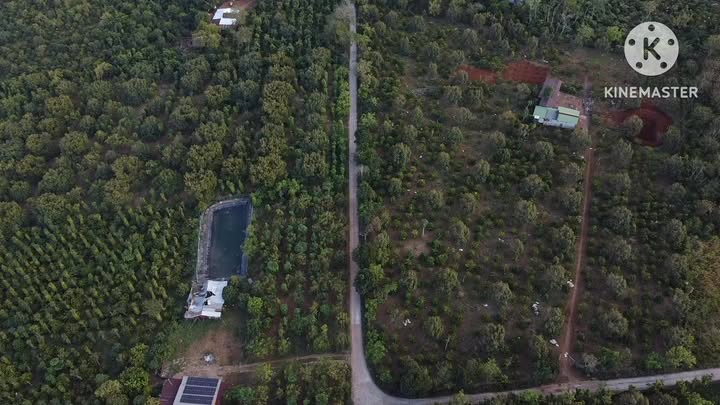 Đất Farm 1,1 ha Đắk Sin giá 3,5 tỷ - Đầu tư sinh lời ngay!