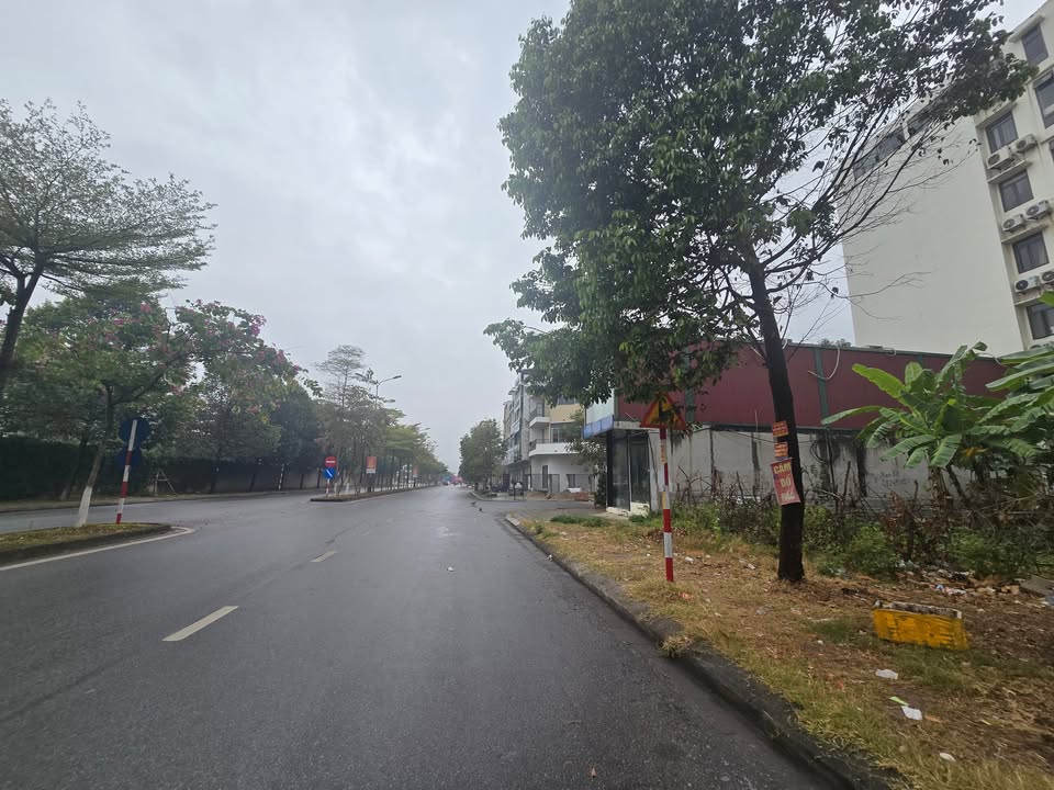 Lô đất đẹp Võ Cường Bắc Ninh 77m² giá thương lượng - Cơ hội đầu tư hấp dẫn!