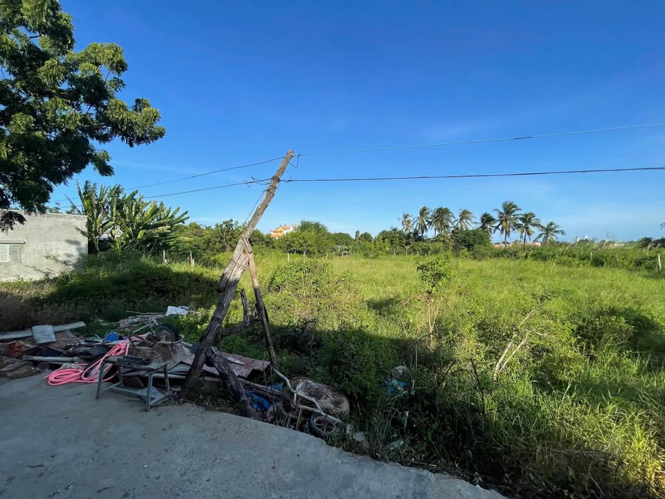 Đất nền Tân Sơn - Yên Thế 1.457m² giá 1.85 tỷ - Lô đất lý tưởng cho nghỉ dưỡng