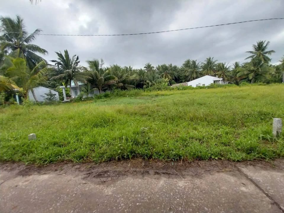 Đất nền xã Song Phú, huyện Tam Bình, Vĩnh Long 120m² chỉ 170 triệu - Cơ hội đầu tư tuyệt vời!