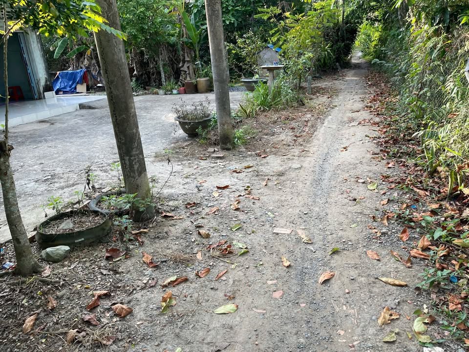 Đất nền 628m² xã Trà Côn, Vĩnh Long giá 300 triệu - Cơ hội đầu tư tuyệt vời!