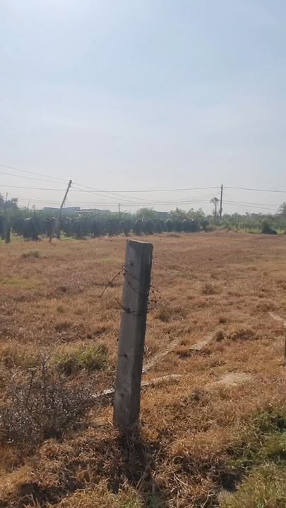 Đất nông nghiệp 14,400m² tại Hàm Hiệp - Giá chỉ 1 tỷ - Cơ hội đầu tư hiếm có!