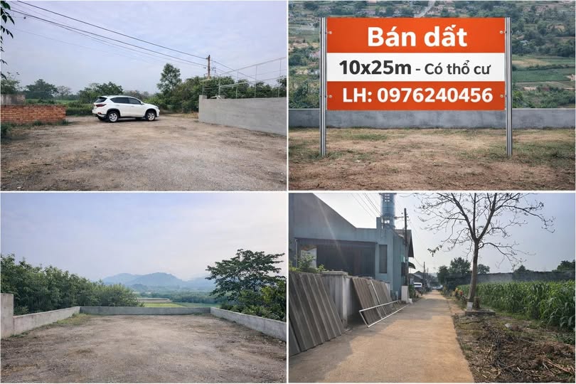 Đất thổ cư An Tường 250m² giá 1 tỷ - Đường ô tô, gần chợ và trường học!