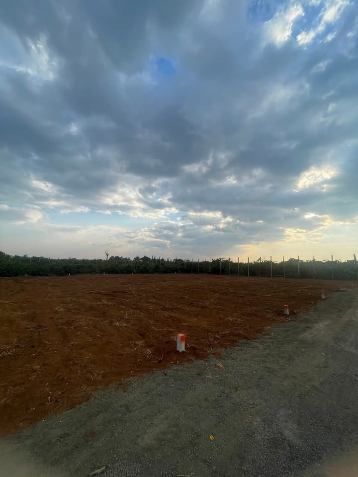 Đất hẻm chính Nguyễn Kiệm, Pleiku 39m² giá 4xx triệu - Cơ hội đầu tư tuyệt vời!