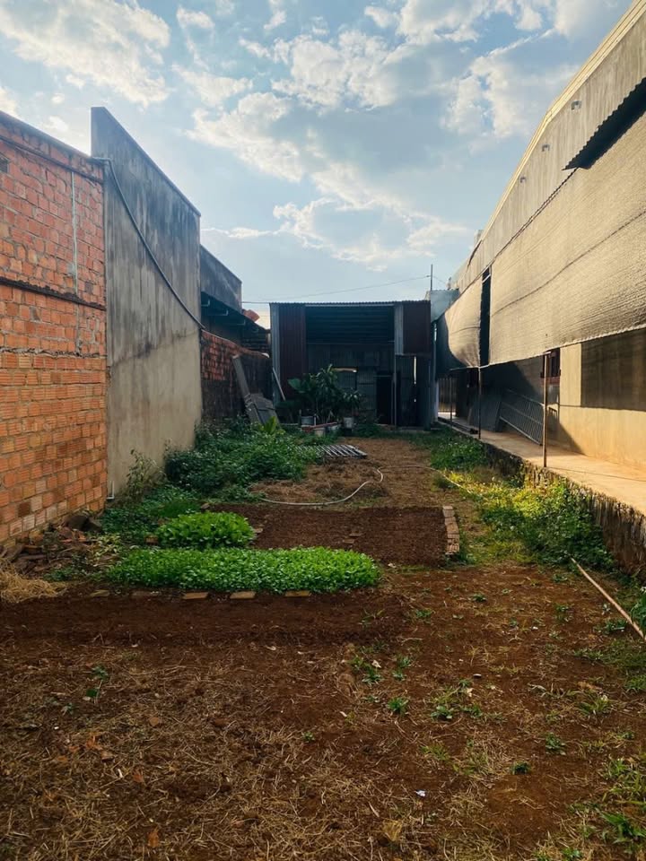 Đất nền Lý Nam Đế, Phường Hội Phú, 100m² giá hợp lý - Đầu tư sinh lời!