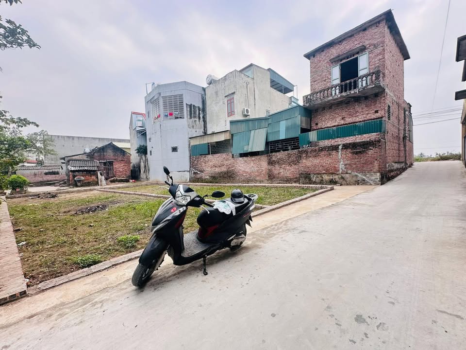 Đất nền Thanh An - Thanh Hà 80m² giá chỉ 300 triệu - Đầu tư sinh lời ngay!