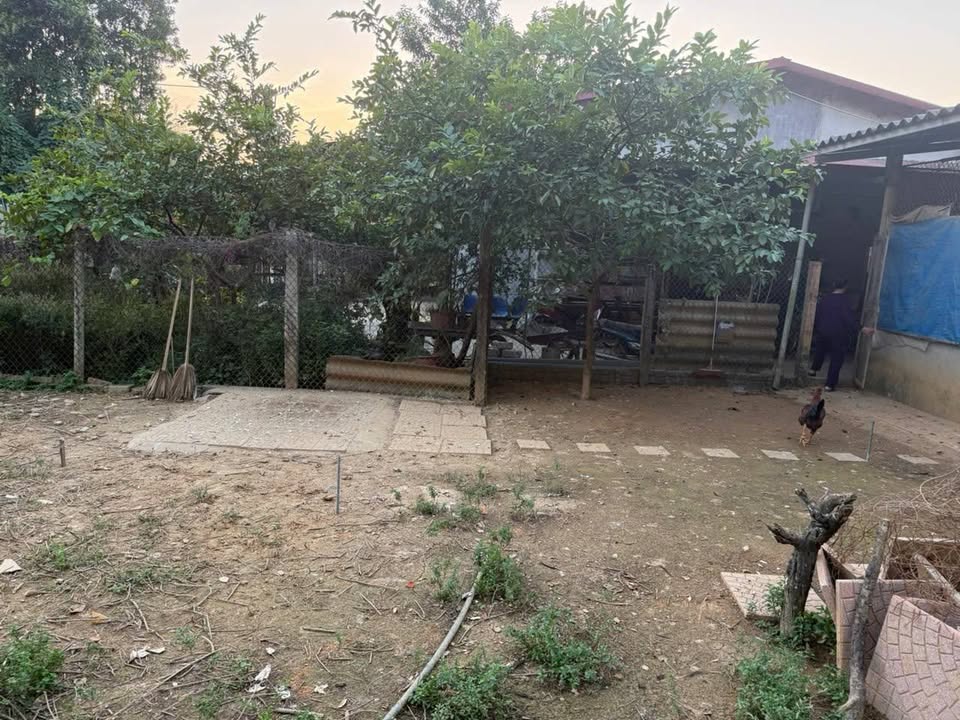 Bán lô đất Thị Xã Nghĩa Lộ 162m² giá 2.5 tỷ - Vị trí đẹp, tiện ích đầy đủ!