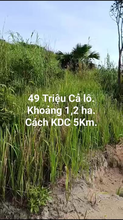 Đất nông nghiệp 1,2 ha tại Ea H'leo, Đắk Lắk giá chỉ 49 triệu - Cơ hội đầu tư tuyệt vời!