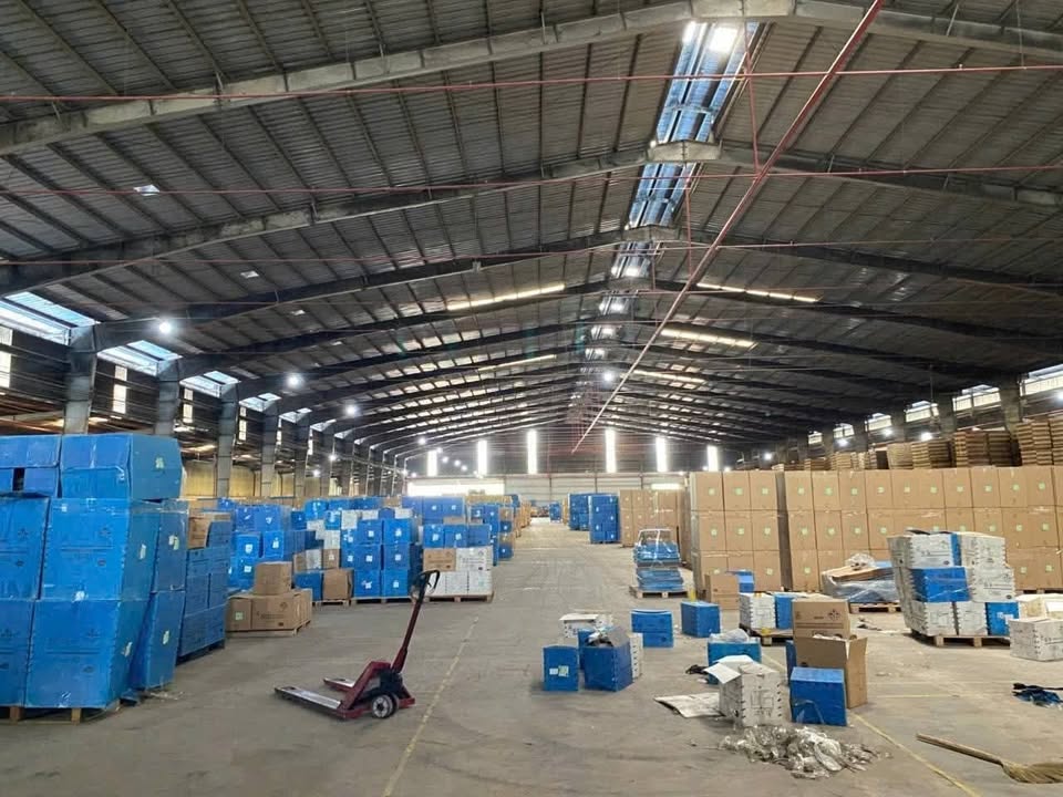 Nhà xưởng cho thuê 8.000m² tại Bình Dương - Sẵn sàng bàn giao ngay!