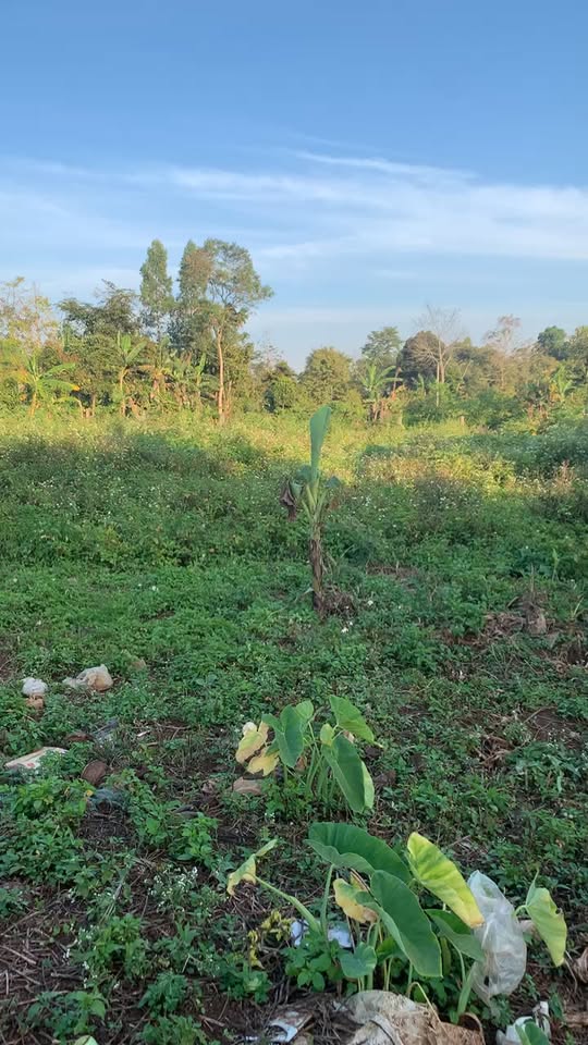 Đất nền Xã Ea Phê, Huyện Krông Pắc 185m² chỉ 400 triệu - Sổ đỏ chính chủ