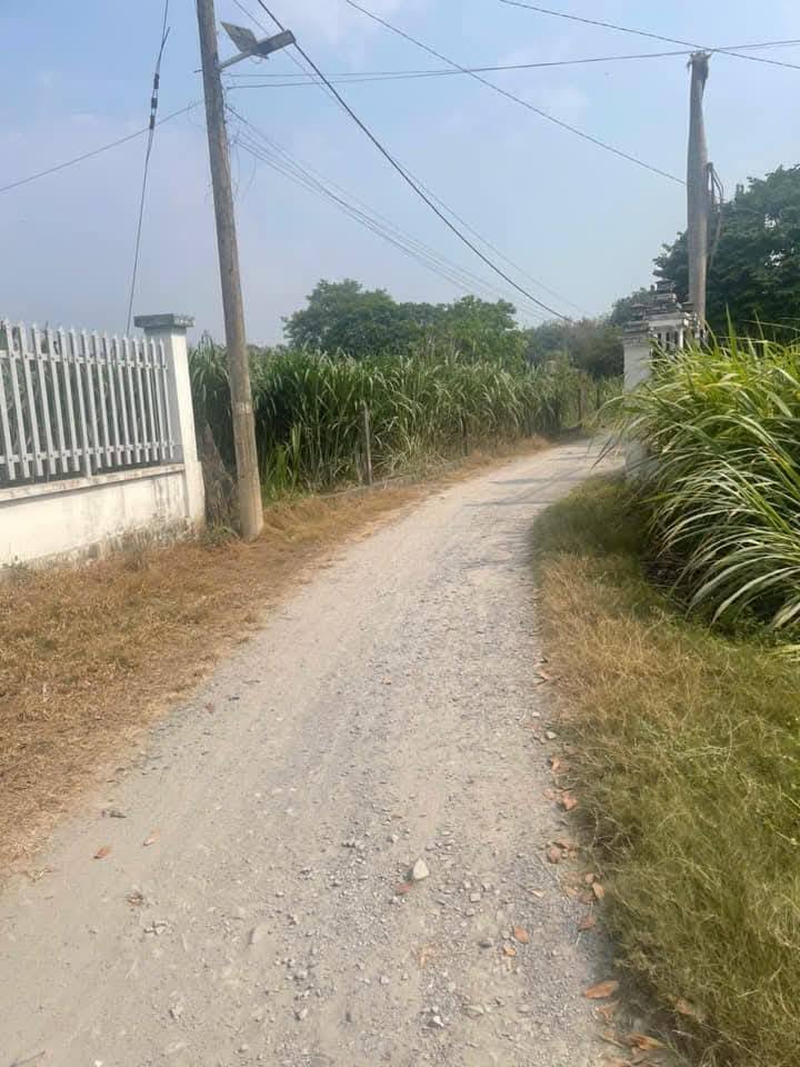 Nhà cấp 4 xã An Phú, Củ Chi 309m² giá chỉ 1.6 tỷ - Diện tích rộng rãi, thoáng mát!