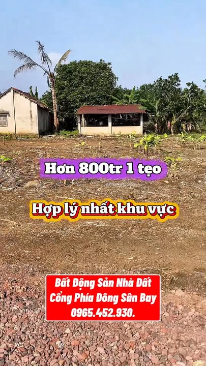 Đất nền Cẩm Đường, Long Thành 130m² giá 800 triệu - Cơ hội đầu tư hiếm có!