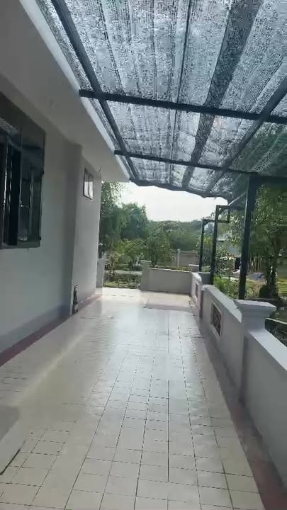 Biệt thự nhà vườn Ấp 7 An Phước 3100m² giá 18 tỷ - Sổ đỏ chính chủ!