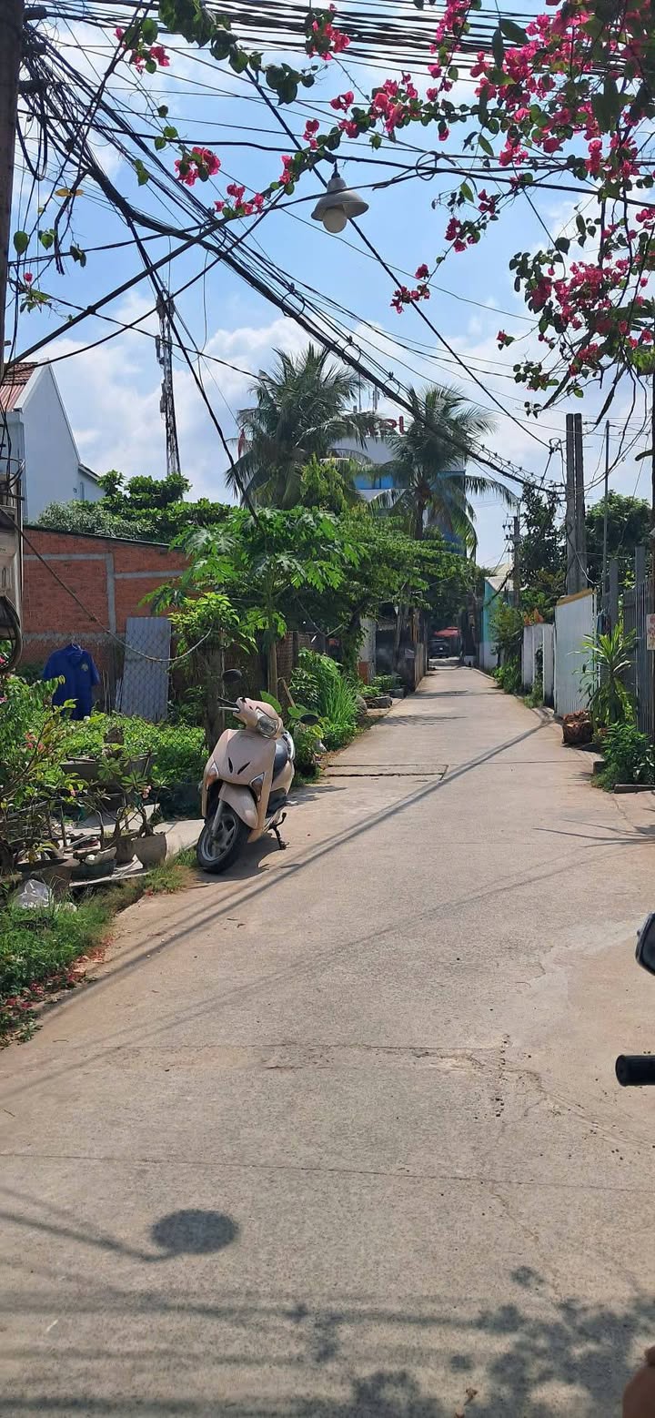 Đất nền 250m² Phường 7, Bến Tre giá 1.25 tỷ - Đầu tư sinh lời ngay!