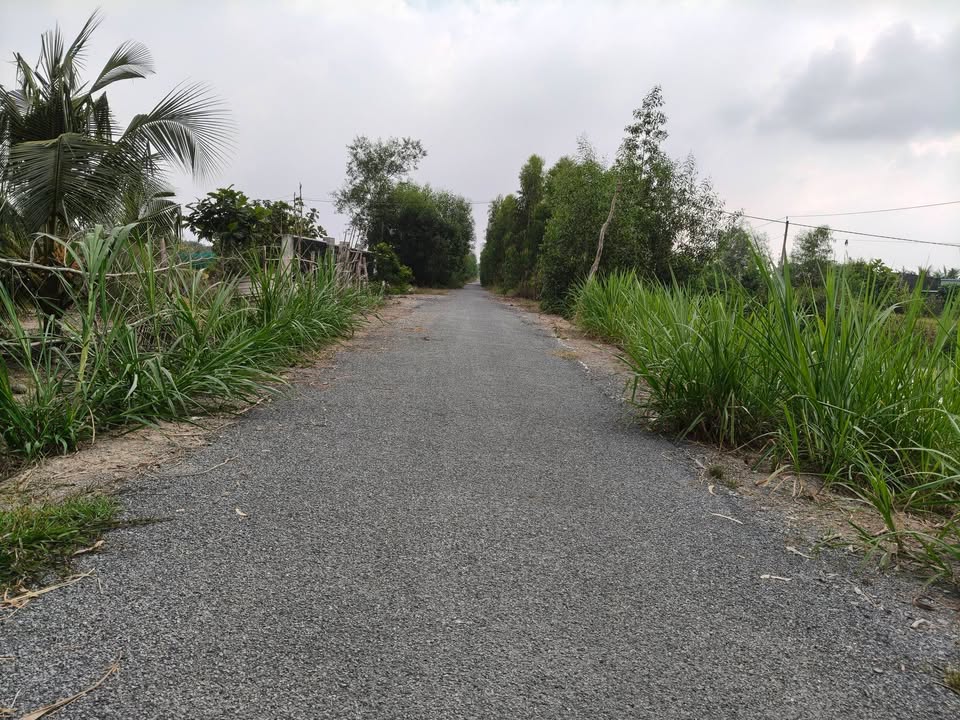 Đất thổ cư xã Tân Lập 2, huyện Tân Phước 1004m² - Giá tốt chỉ 1.5 tỷ!