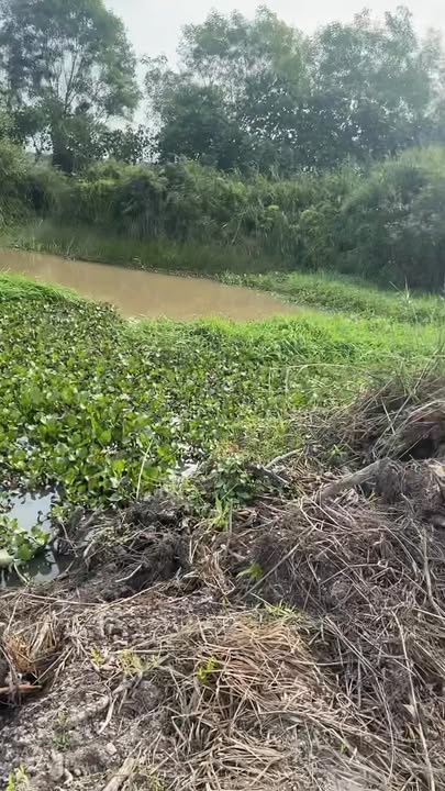 Đất nền 2 mặt tiền sông tại Kiên Bình 10,800m² giá 2.25 tỷ - Cơ hội đầu tư tuyệt vời!