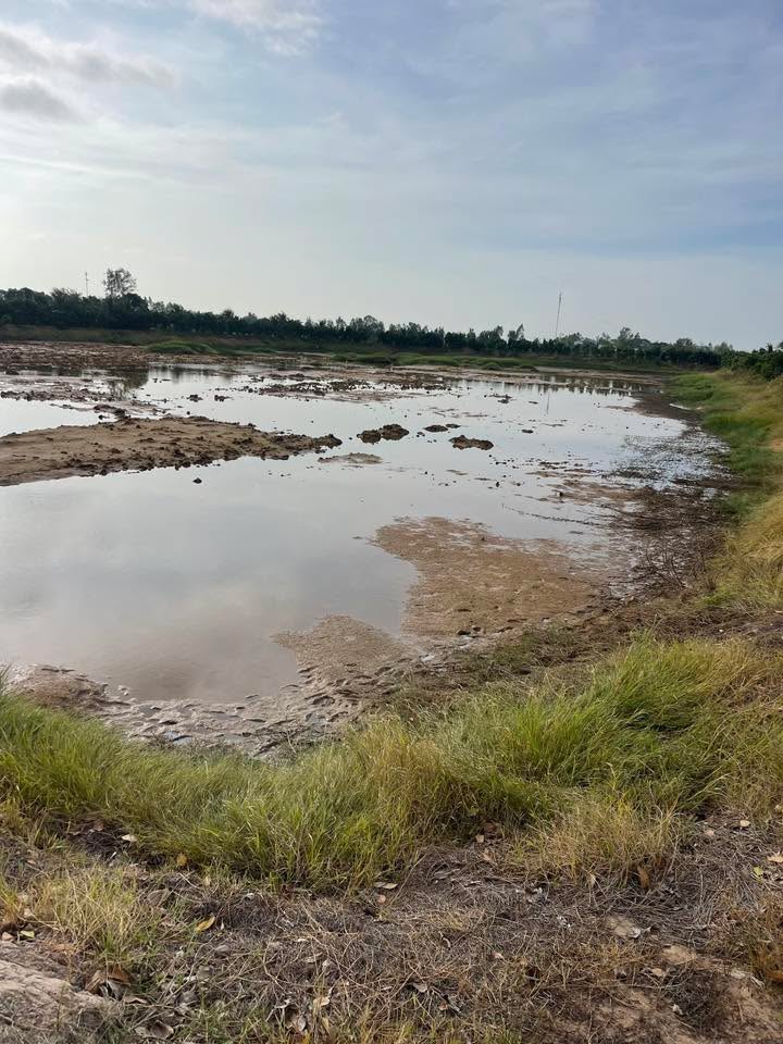 Đất nông nghiệp Xã Phú Đức, Huyện Tam Nông 200.000m² giá 6.5 tỷ - Hợp đồng cho thuê 5 năm sẵn sàng!