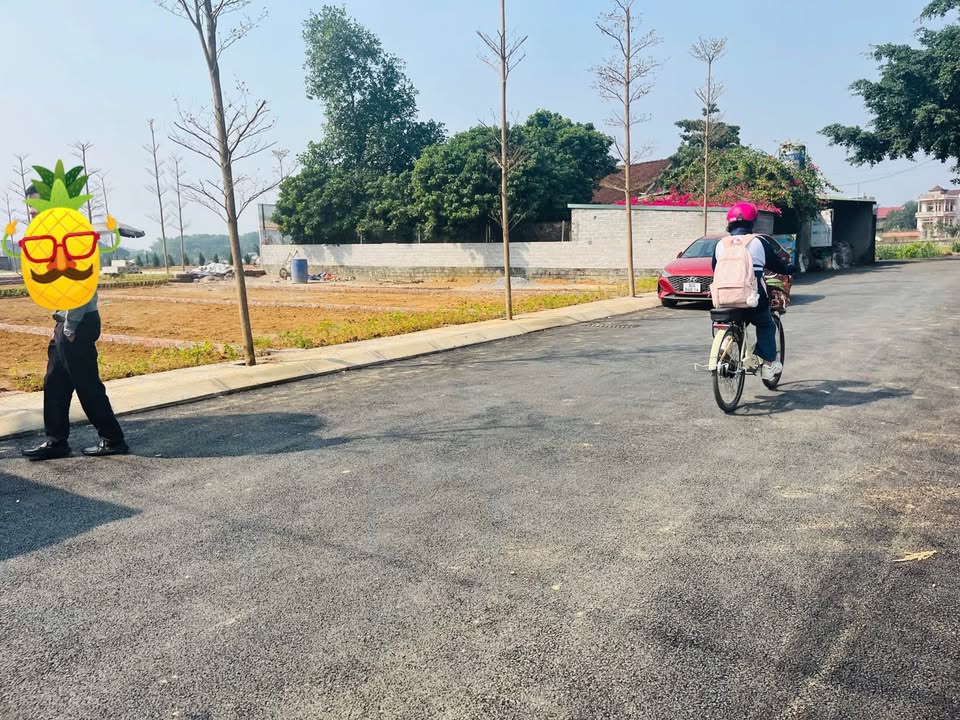 Đất nền tại xã Hạ Bằng, huyện Thạch Thất, 104m² giá chỉ 4 tỷ - Đầu tư sinh lời hấp dẫn!