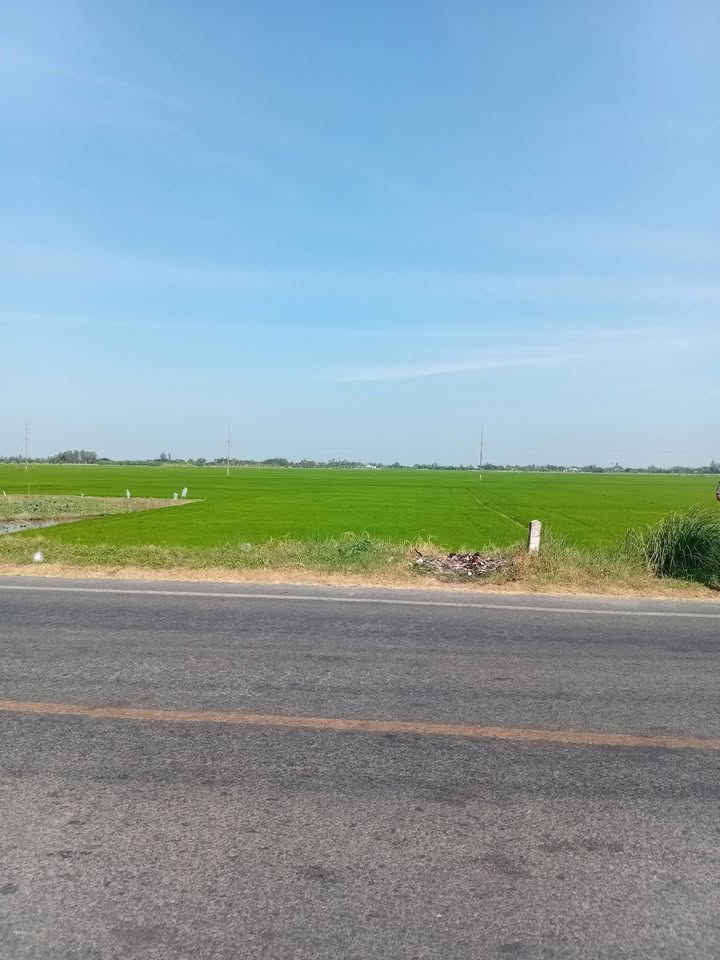 Đất mặt tiền Quốc lộ 30, xã An Phong, 4800m² - Cơ hội đầu tư tuyệt vời!