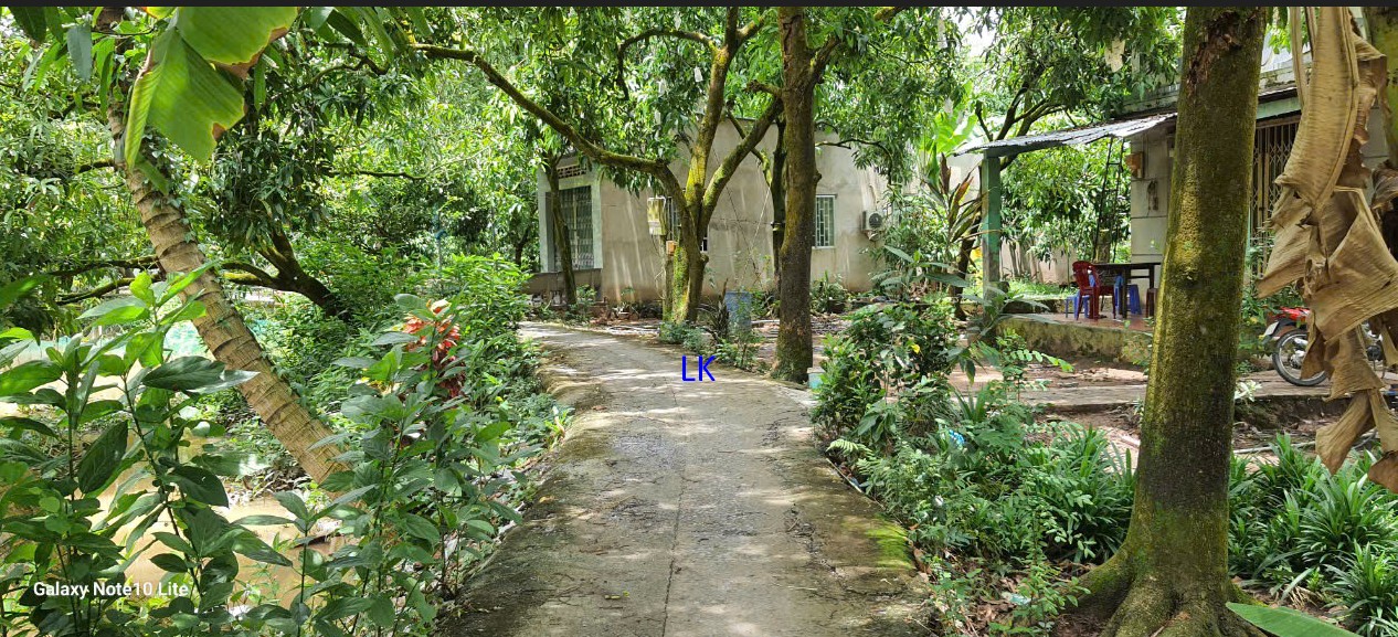 Đất nền 124m² xã Tịnh Thới, TP Cao Lãnh giá 450 triệu - Đường đan xe máy thuận tiện!