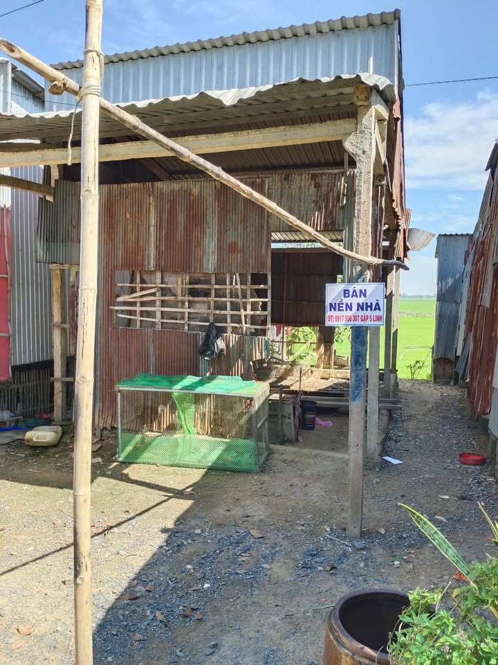 Đất nền xã Bình Phú, huyện Tân Hồng, 67.5m² - Giá chỉ 300 triệu!