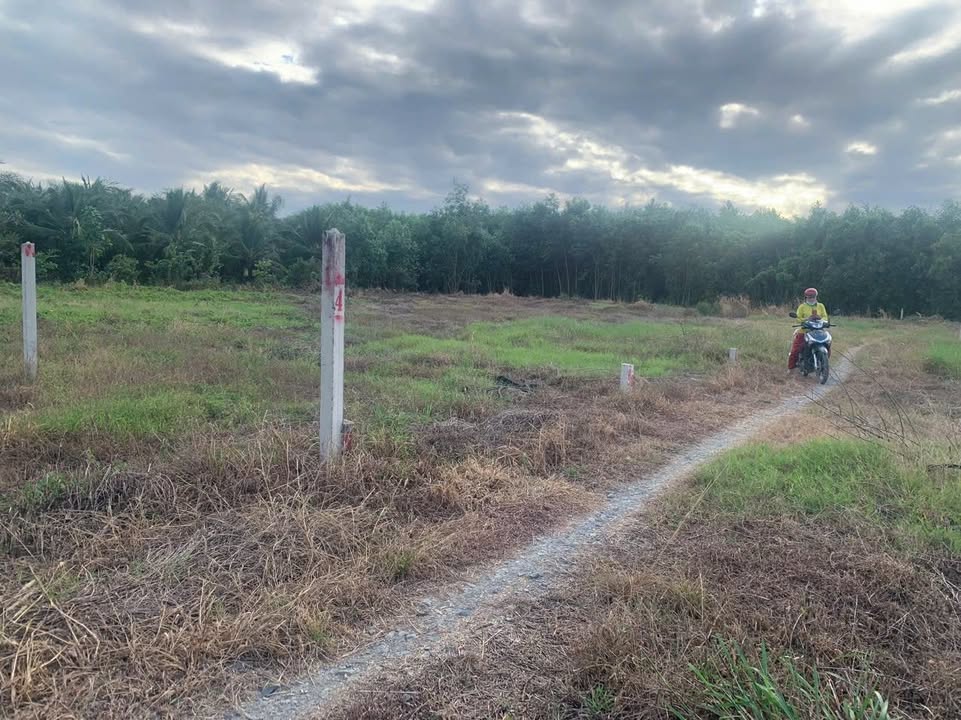 Đất thổ cư xã Trường Đông, Hòa Thành, Tây Ninh 75m² giá chỉ 185 triệu - Cần bán gấp!