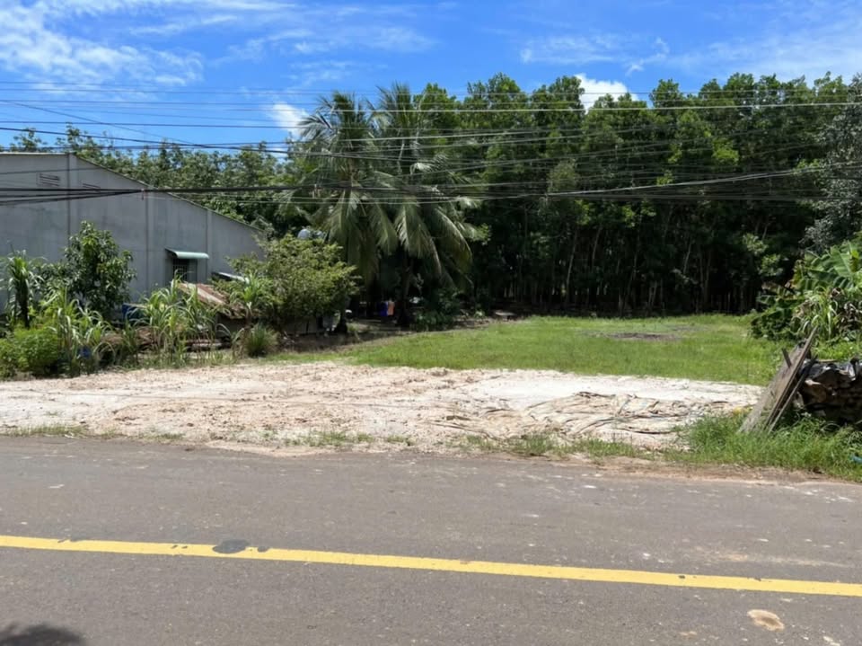 Đất nền Ấp Tầm Long, Huyện Châu Thành, 216m² giá 490 triệu - Đầu tư sinh lời ngay!