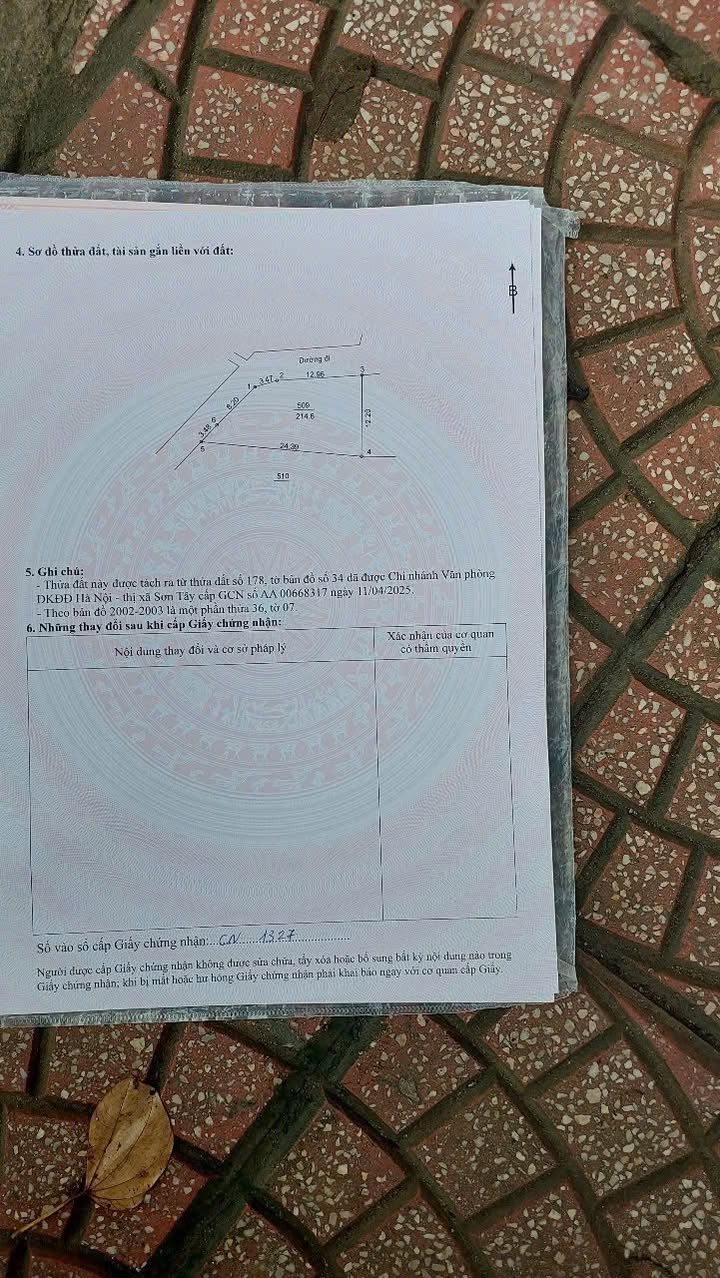 Đất nền lô góc 114m² tại Sơn Đông, Sơn Tây - Giá chỉ 2 tỷ!